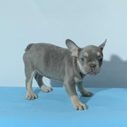 Click sobre la imagen para ampliarla