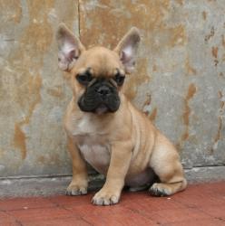 Click sobre la imagen para ampliarla