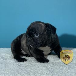 Click sobre la imagen para ampliarla