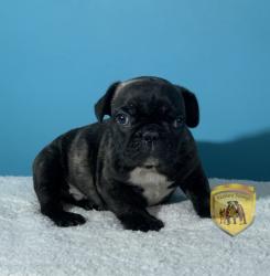 Click sobre la imagen para ampliarla