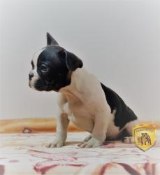 Click sobre la imagen para ampliarla