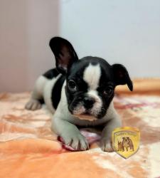 Click sobre la imagen para ampliarla