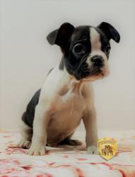 Click sobre la imagen para ampliarla