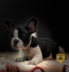 Click sobre la imagen para ampliarla