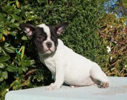 Click sobre la imagen para ampliarla