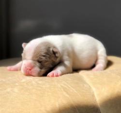 Click sobre la imagen para ampliarla