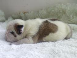 Click sobre la imagen para ampliarla