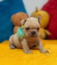 Click sobre la imagen para ampliarla