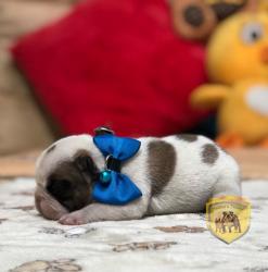 Click sobre la imagen para ampliarla