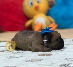 Click sobre la imagen para ampliarla