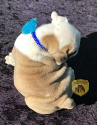 Click sobre la imagen para ampliarla