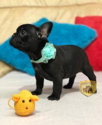 Click sobre la imagen para ampliarla