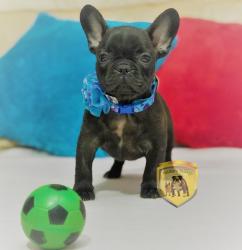 Click sobre la imagen para ampliarla