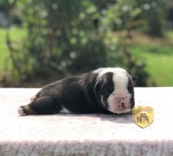 Click sobre la imagen para ampliarla