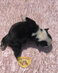 Click sobre la imagen para ampliarla