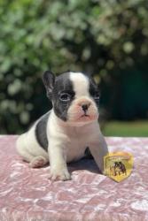 Click sobre la imagen para ampliarla