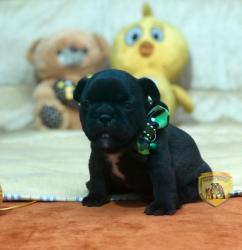 Click sobre la imagen para ampliarla