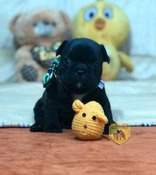 Click sobre la imagen para ampliarla