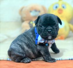 Click sobre la imagen para ampliarla