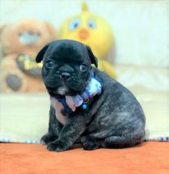 Click sobre la imagen para ampliarla