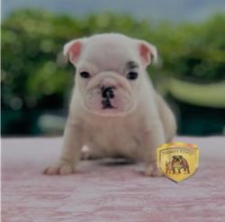 Click sobre la imagen para ampliarla