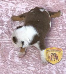 Click sobre la imagen para ampliarla