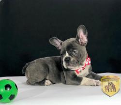 Click sobre la imagen para ampliarla