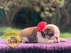 Click sobre la imagen para ampliarla