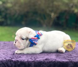 Click sobre la imagen para ampliarla