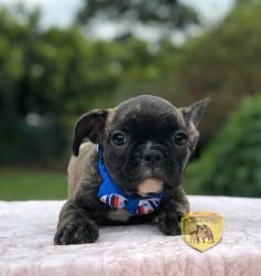 Click sobre la imagen para ampliarla