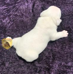 Click sobre la imagen para ampliarla