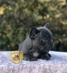 Click sobre la imagen para ampliarla