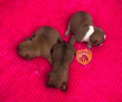 Click sobre la imagen para ampliarla