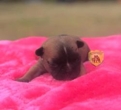 Click sobre la imagen para ampliarla