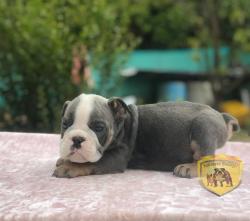 Click sobre la imagen para ampliarla