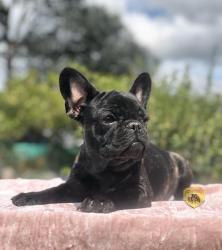 Click sobre la imagen para ampliarla