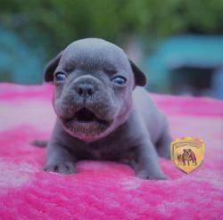 Click sobre la imagen para ampliarla