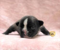 Click sobre la imagen para ampliarla