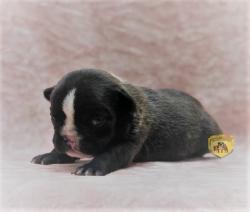 Click sobre la imagen para ampliarla