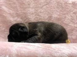 Click sobre la imagen para ampliarla