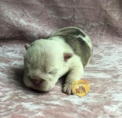 Click sobre la imagen para ampliarla