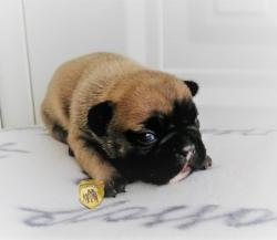 Click sobre la imagen para ampliarla