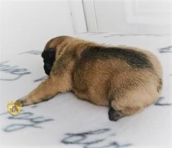 Click sobre la imagen para ampliarla