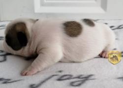 Click sobre la imagen para ampliarla