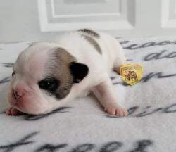 Click sobre la imagen para ampliarla