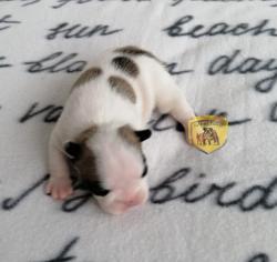 Click sobre la imagen para ampliarla