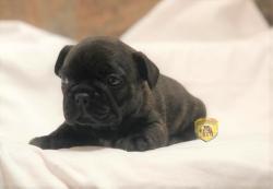 Click sobre la imagen para ampliarla