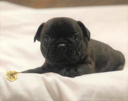 Click sobre la imagen para ampliarla