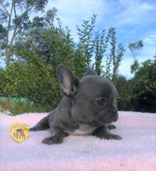 Click sobre la imagen para ampliarla