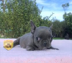 Click sobre la imagen para ampliarla